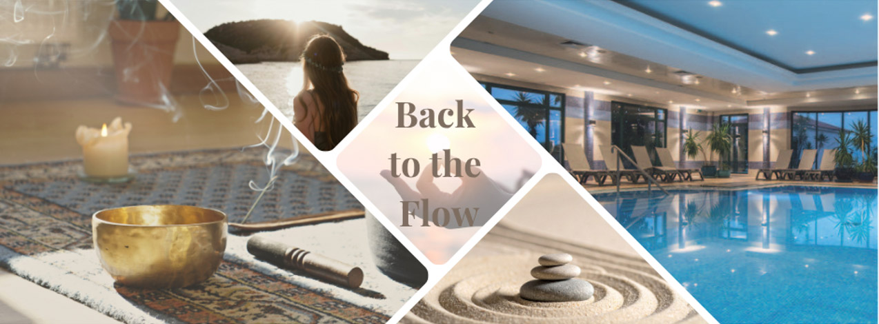 BACK TO THE FLOW – Seminar-Retreat